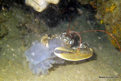 PICT1128 (1) (1) (1) (1) (1) (1) (1) (1) (1) (1)