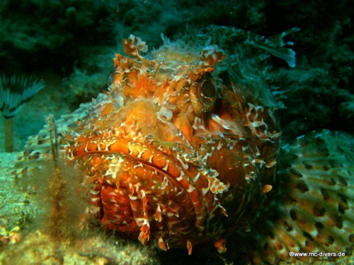 PICT1133 (1) (1) (1) (1) (1) (1) (1) (1)