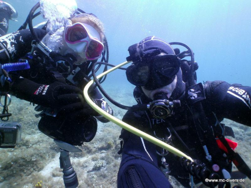 PICT1137 (1) (1) (1) (1) (1) (1) (1) (1)