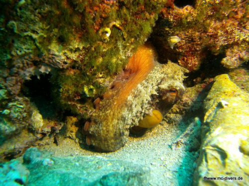 PICT1138 (1) (1) (1) (1) (1) (1) (1) (1) (1)