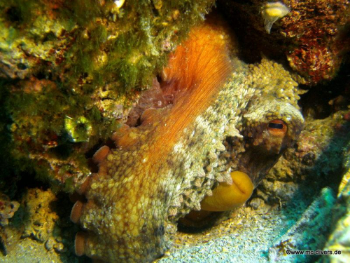 PICT1139 (1) (1) (1) (1) (1) (1)