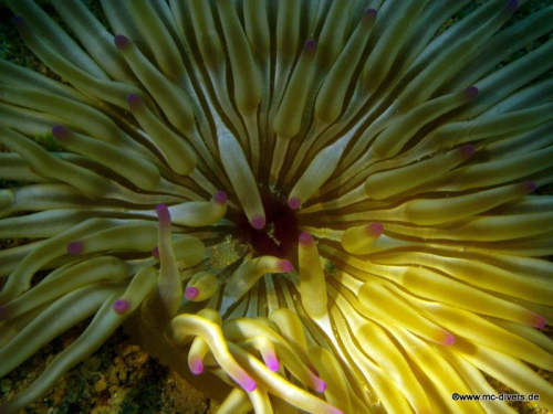 PICT1140 (1) (1) (1) (1) (1) (1) (1)