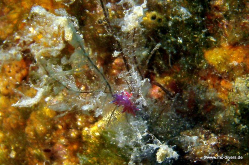 PICT1141 (1) (1) (1) (1)