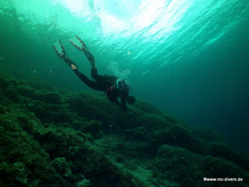 PICT1149 (1) (1) (1)