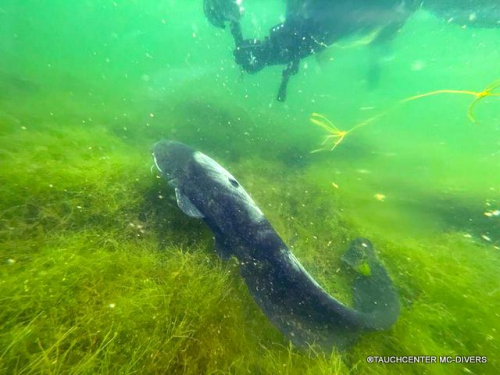 WhatsApp-Bild-2023-05-21-um-15.51.56213