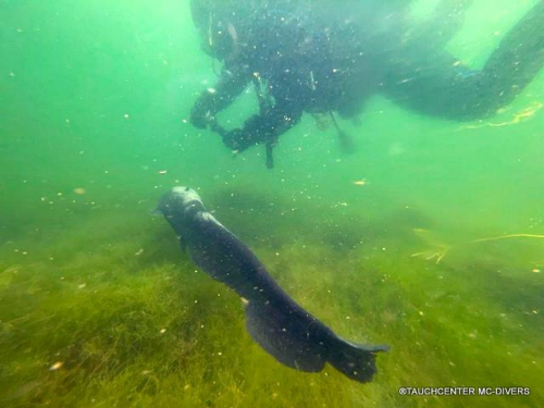 WhatsApp-Bild-2023-05-21-um-15.52.38