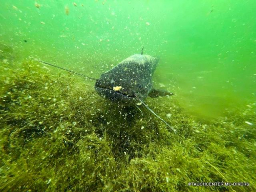 WhatsApp-Bild-2023-05-21-um-15.52.3843